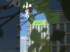 Chinese suppliers of vacuum sintering furnace